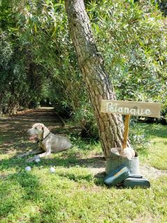 Le Mas d'Hermès - 2