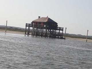 lanton - Lanton - 9