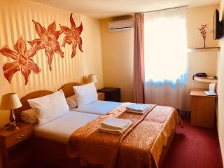 Pensiunea Ileana - 4