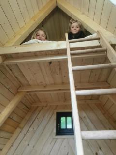 Glamping MM - Muta - 5