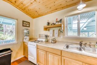 Kahu 'lo - Guardian Hawk - 2