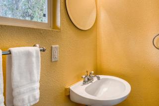 Kahu 'lo - Guardian Hawk - 1