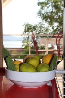 Apartmani Andreja - Pinezici - 3