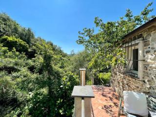 Il frantoio di Luna - Levanto, 5 Terre - Levanto - 9