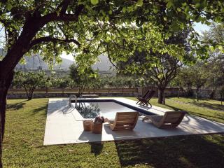 Leeda's Cottages - Lithakia - 5
