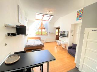 Black Eagle Apartments - Prag - 0