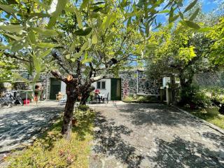 Rosy apartment - Levanto, 5 Terre - Levanto - 2