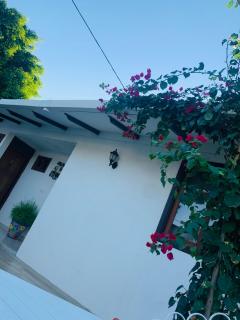 Casa San Juan - Managua - 6
