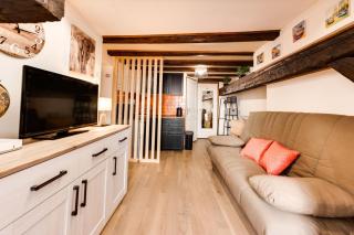 Le Cocooning - Small studio of 20 square meter in the heart of Annecy - Annecy - 4