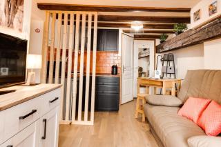 Le Cocooning - Small studio of 20 square meter in the heart of Annecy - Annecy - 2
