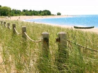 Driftwood Haus - Southampton - 1