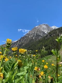 Haus Bergfrieden - Kaunertal - 9