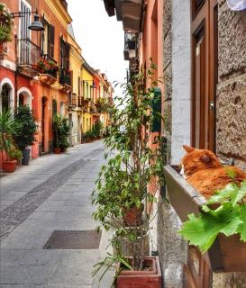 Mirtì boutique Apartment heart Cagliari - Cagliari - 7