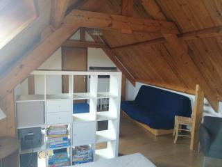 Albatros House Fort-Mahon-Plage - Fort-Mahon-Plage - 1