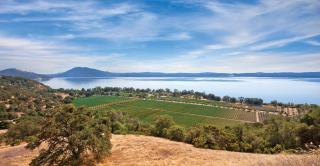 WorldMark Clear Lake - Nice - 6