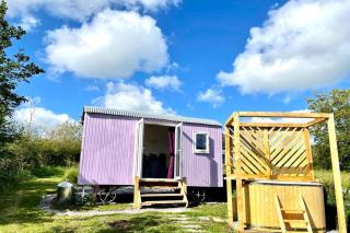 Lilac Tree Hut - Tenby - 0