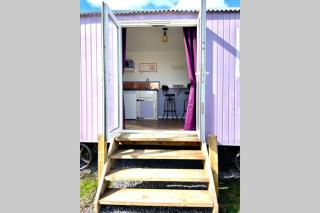 Lilac Tree Hut - Tenby - 7