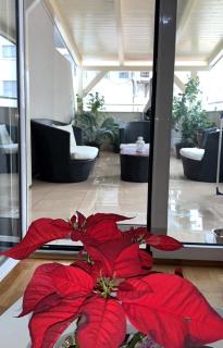 APARTMENT WITH TWO BEDROOMS SENKA - Budva - 0