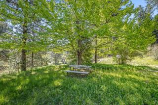Yosemite Mountain Cottage - Groveland - 8