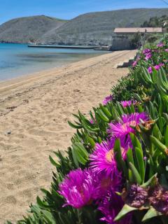 Apartments Simurina - 9