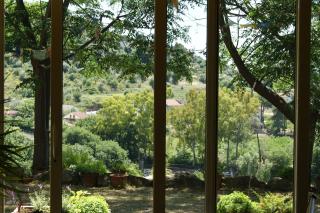 Le tre querce di casa mia - Castellabate - 4
