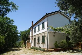 Le tre querce di casa mia - Castellabate - 0