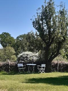 Ferienwohnung Wald und Weitblick - Dreschvitz - 7