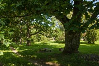 Pālena apartamenti - 9