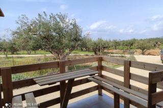 Evaggelias house - Kissamos - 3
