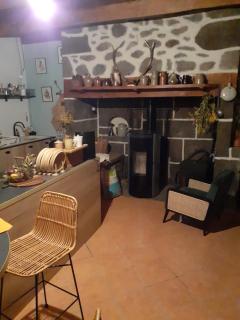 Maison authentique en pierre apparente en montagne dans le c antal - Thiézac - 6