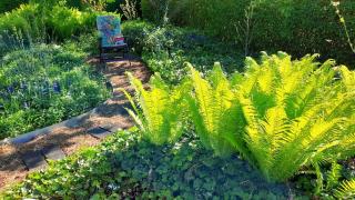 Mitten im Seenland und Spreewaldnah, schöner Garten - Storkow - 7