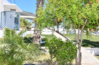 1-Bedroom Kos Olympia Apartment at Lambi Beach - Lampi - 9