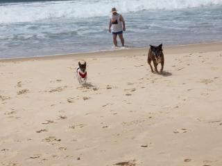 Oceans 12 - North Haven - 1