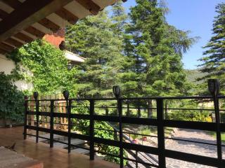 Els Avets de la Muga - 4