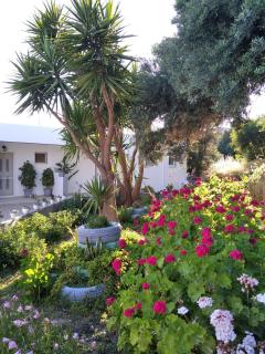 Golden Sun Apartments - Rodakino - 5
