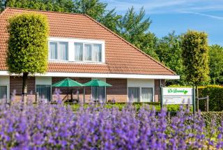 Bosrand Domburg - Domburg - 0