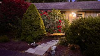The Redwood Guesthouse at the Floras Lake Getaway - Langlois - 8