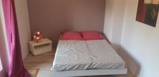 Charmant appartement vue sur la rivière. - Albi - 7