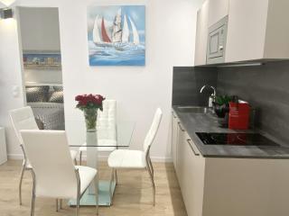 Central Modern Flat Lamartine - Nice - 2