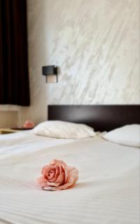 Hotel Royal Drina - Mali Zvornik - 3