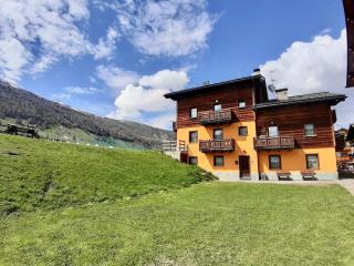 Chalet SUNFLOWER Appartamenti - Livigno - 6