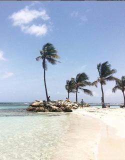 Le NIL - Sainte-Anne - 8