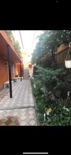 Vila Gino - Costinesti - 8