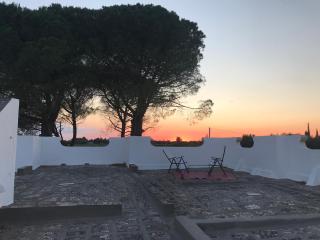 Villa Fontana - Francavilla Fontana - 9