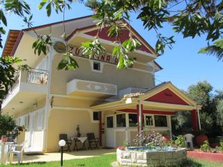 Zozefina Apartments and Studios - Parga - 9