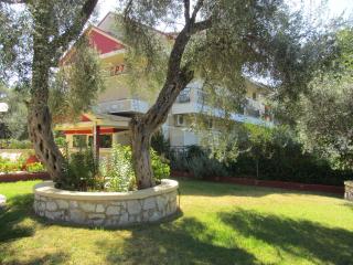 Zozefina Apartments and Studios - Parga - 8