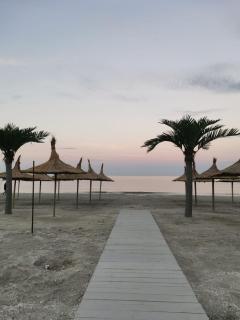 Amphora Beach Apartment - Mamaia Nord - Năvodari - 6