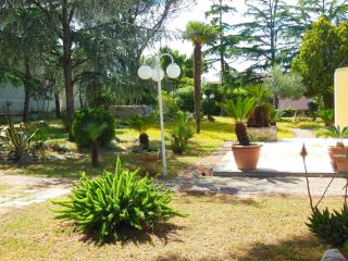 B&B Villa Garden - Bisceglie - 5