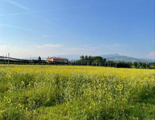 Agriturismo Fior di Maggio - Pescantina - 3