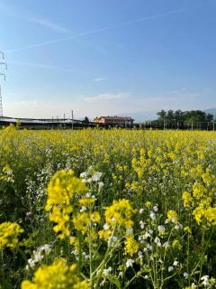Agriturismo Fior di Maggio - Pescantina - 5